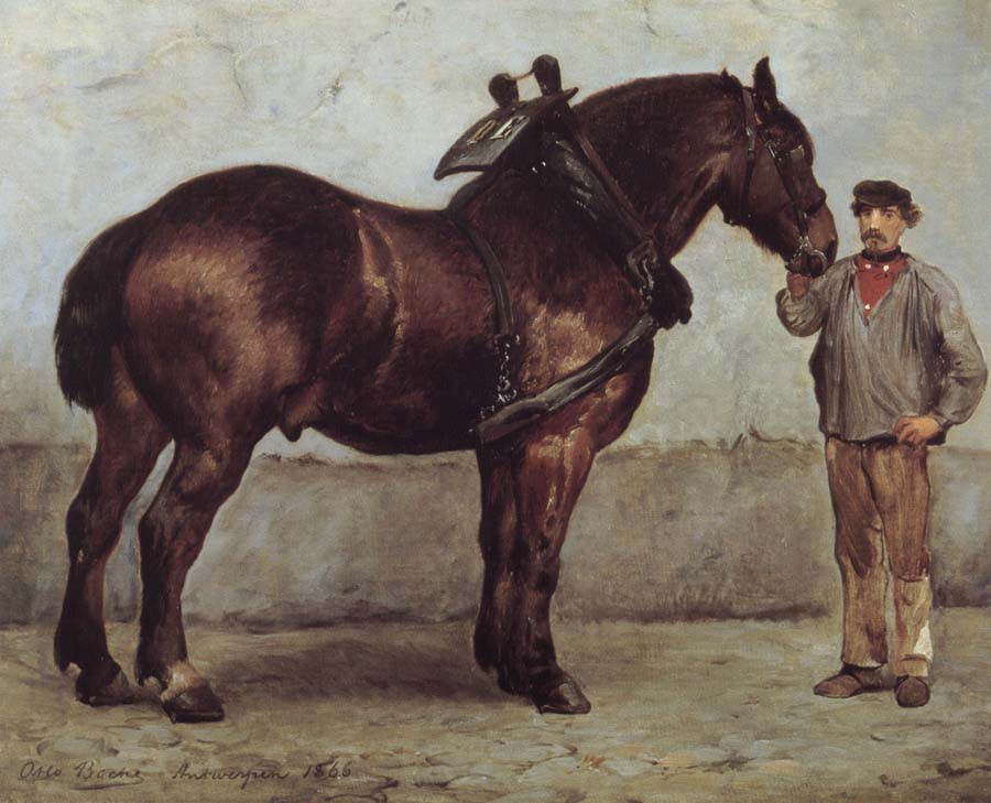 The working horse